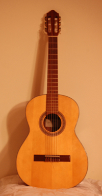 acoustic guitar image.jpg