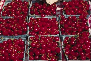 Cherries_(USDA_OPC).jpg